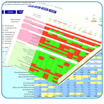 Capital market analysis for top-down investment decisions.