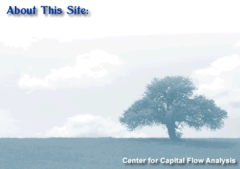 About the Center for Capital Flow Analysis