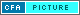 Capital Flow Analysis: Overview of the US Capital Market