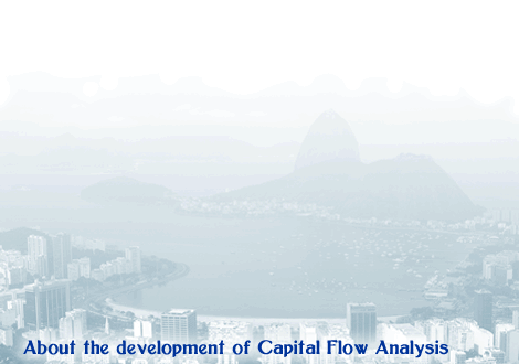 About the development of Capital Flow Analysis