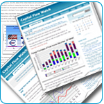 Conservative economic commentary using flow of funds analysis in Capital Flow Watch