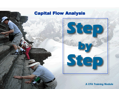 Capital Flow Analysis: Step by Step Tutorial